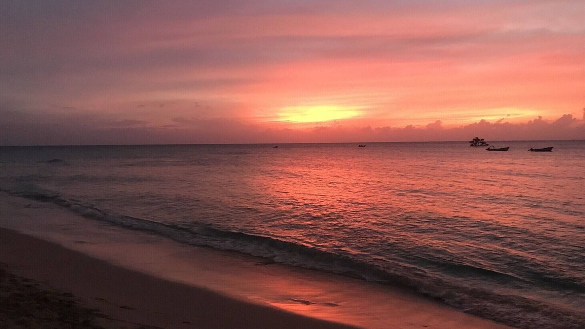 Sunset Crest Condo | Winter/Spring Bookings! Anidele Spice - 1BR in Historic Holetown near Beach/Pool