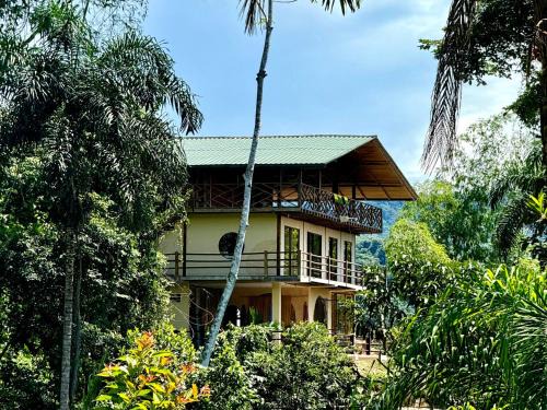 Tena Cabin | Wisdom Forest Lodge