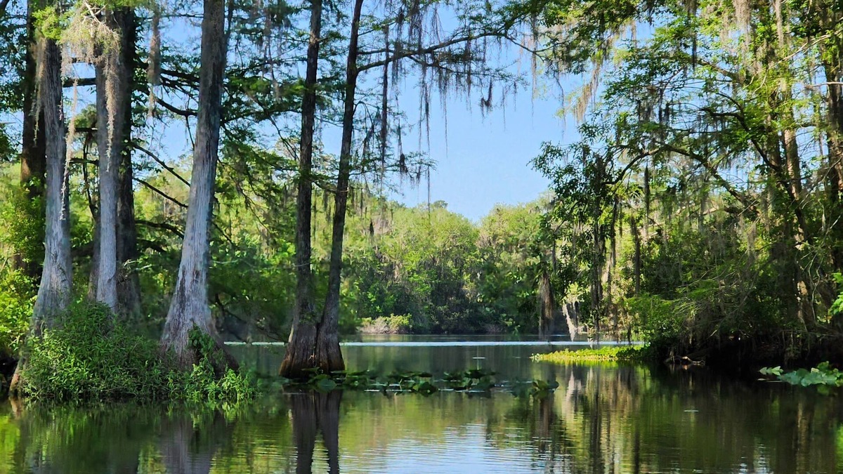 Citrus Springs Apartment | Wise Owl Retreat, a beautiful suite amongst towering oaks, on the River.