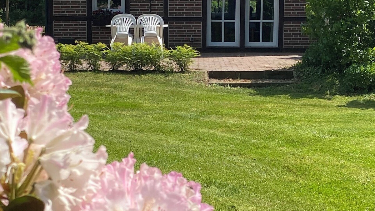 Apen House | Witch's cottage