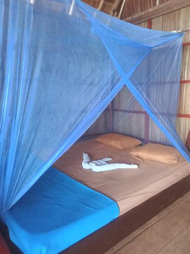 Yenbeser House | Wobbegong Homestay