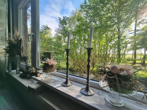 Leezdorf Apartment | Wohlfühlurlaub auf dem Reit- und Ferienhof Goldberg