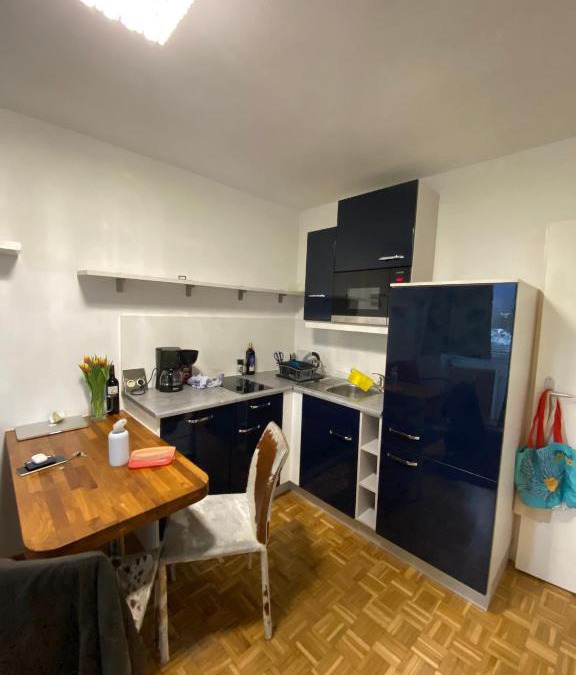 Gmunden Apartment | Wohnung in Bahnhofsnähe mit Balkon - 35 m2