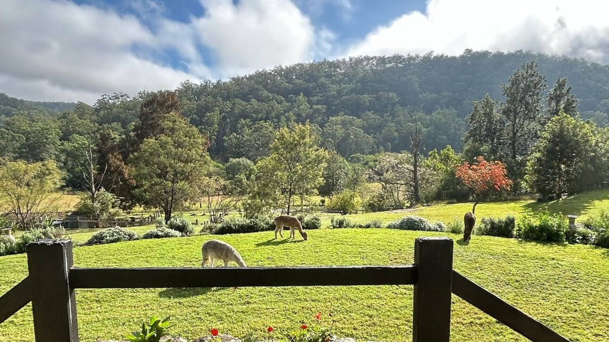 Wollombi Other | Wollombi Country House set in a private 4 acre garden estate with rural views.