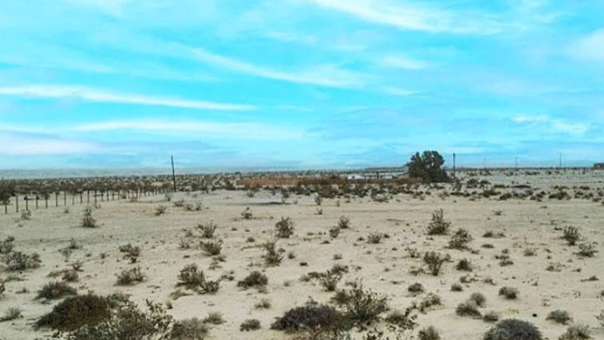 Wonder Valley RV Rental | Wonder Valley RV ONLY Space