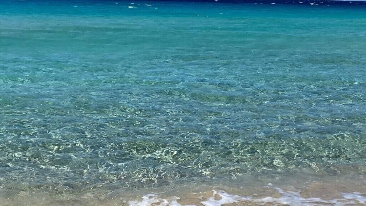Santa Teresa di Gallura Villa | Wonderful private villa near the sea