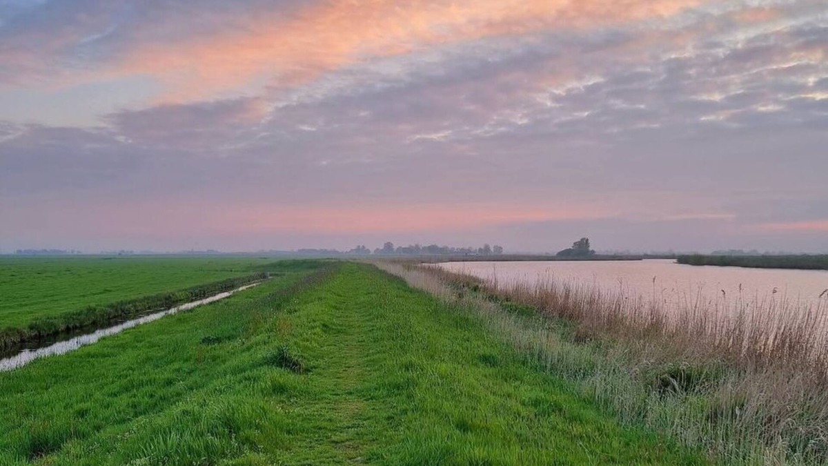 De Veenhoop House | Wonderful private villa for 6 people with WIFI, TV, terrace, pets allowed and parking