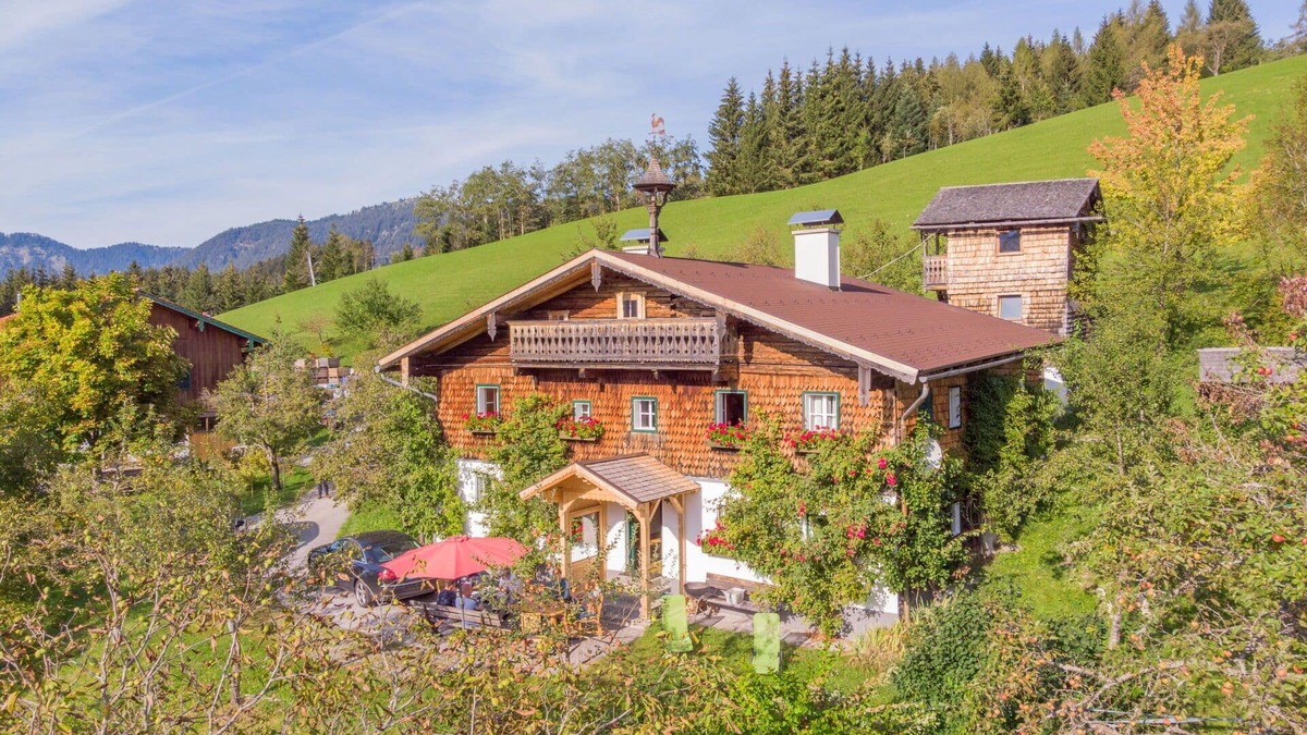 Abtenau Villa | Wonderful private villa for 12 guests with WIFI and TV