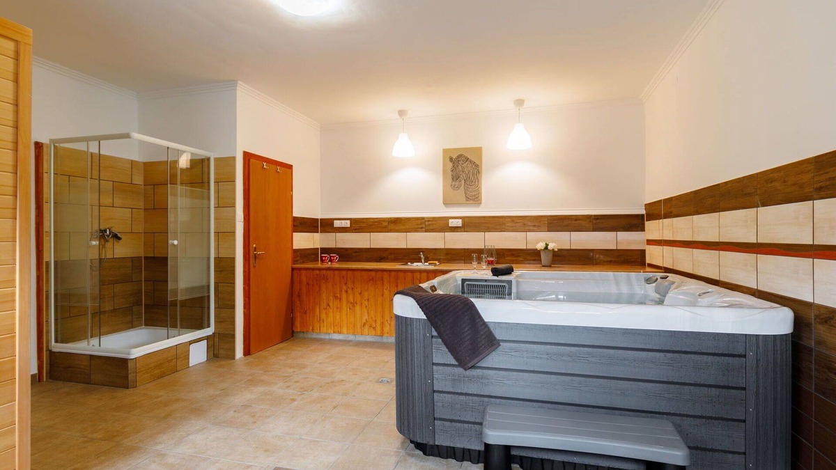 Balatonfenyves House | Wonderful private villa for 12 people with hot tub, private pool, TV and terrace