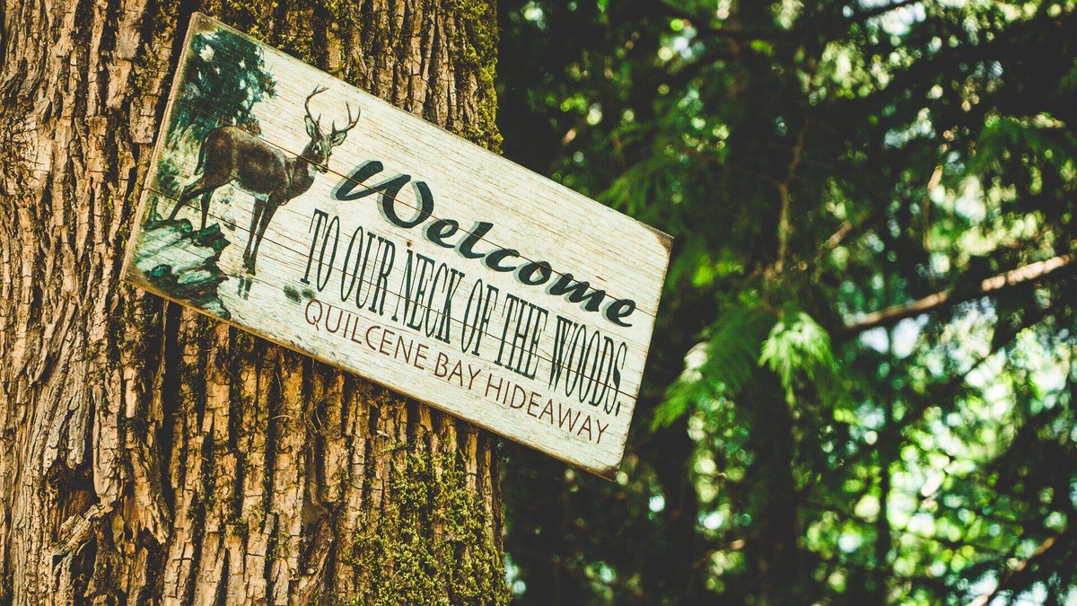 Quilcene House | Wondrous, Secluded, Waterfront Home, pet friendly, hot tub, kayaks, trails