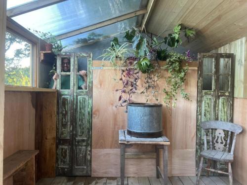 Abergele House | Wood Cabin & 4 Large Bell Tents - Hapus Hideaway