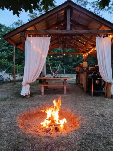 Brochow Other | Wood Camping