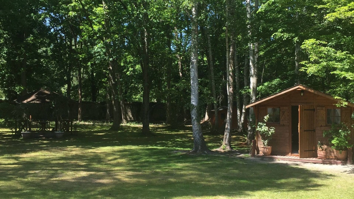 Noisy-sur-Ecole Ski Chalet | Wooden chalet in the middle of a wooded park