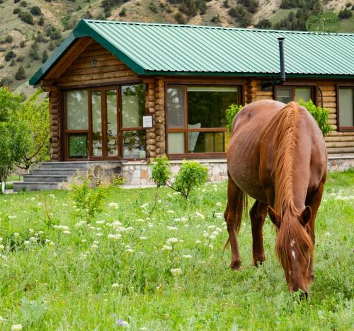 Urtsadzor House | Wooden House in WildLife Refuge