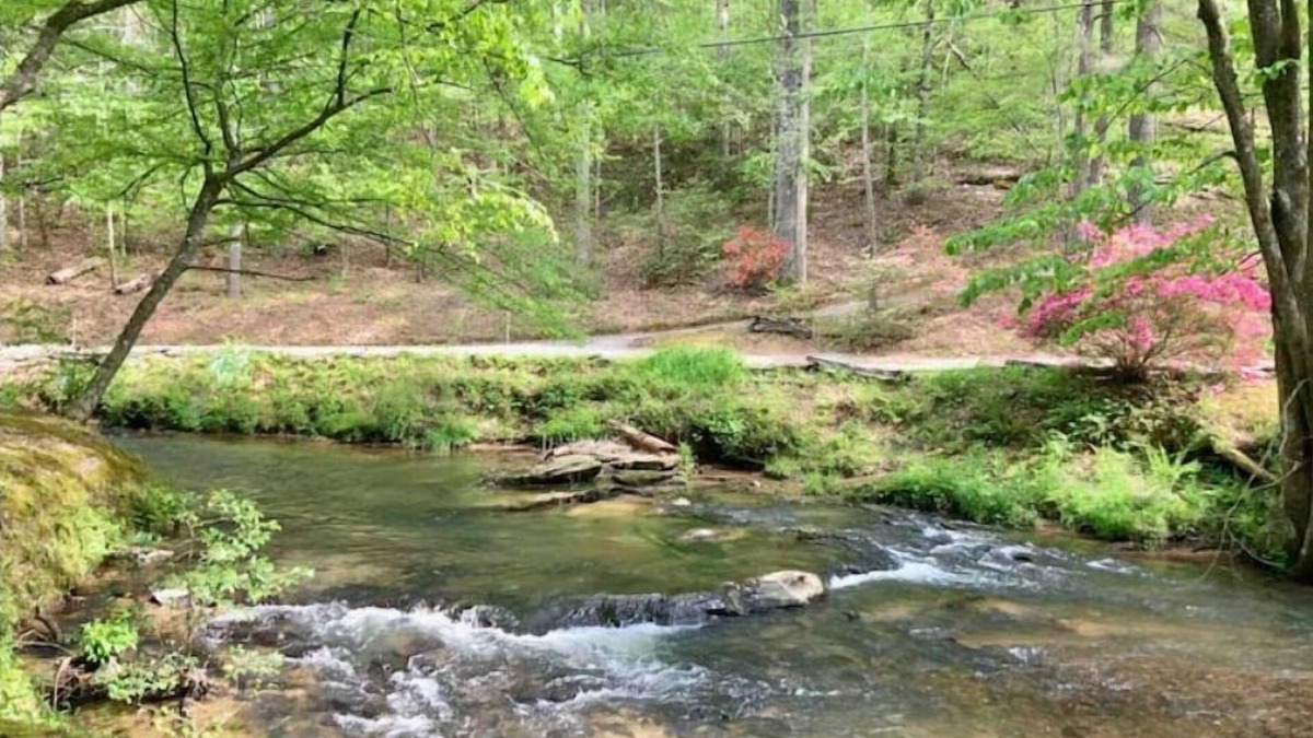 Ellijay Cabin | Woodland Creekside Cabin/HotTub/WiFi/Gameroom