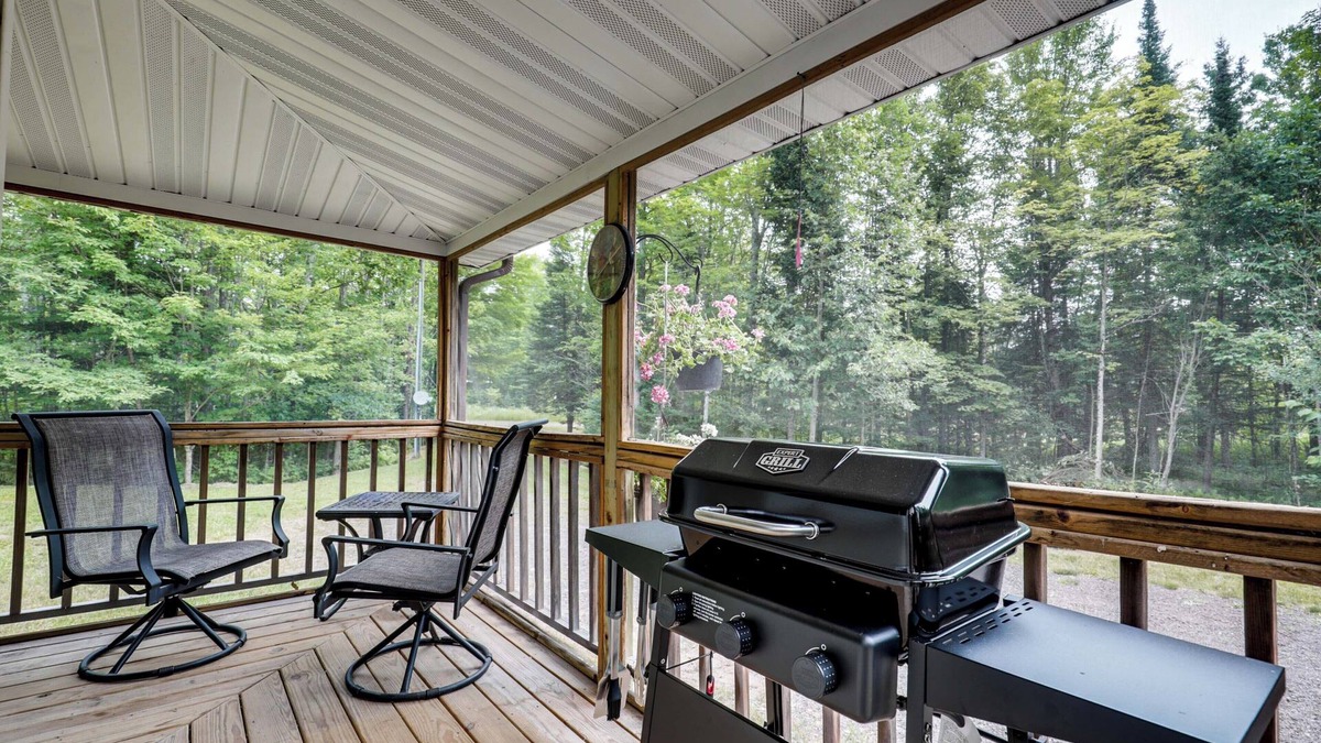 Pelkie Apartment | Woodsy & Charming! Tiny Cottage w/Yard in Pelkie