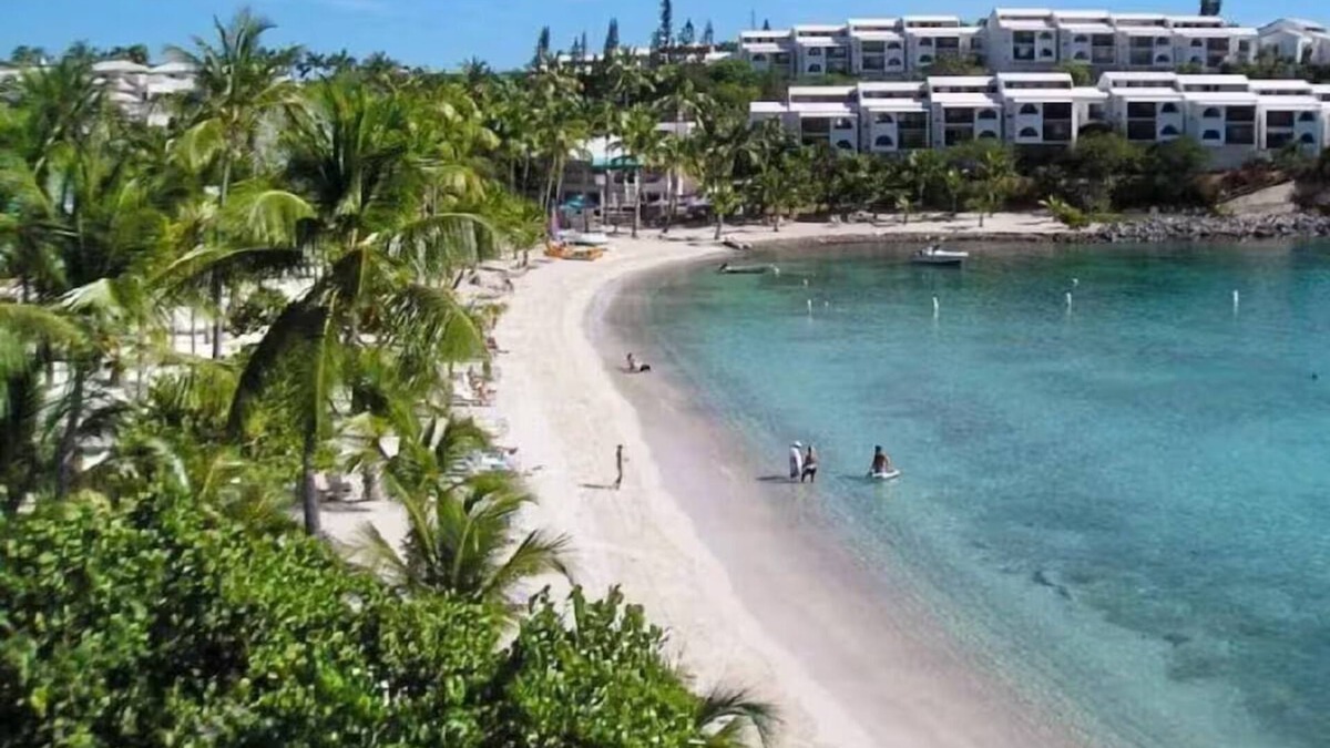 Great Cruz Bay Condo | Wow the View! Sandy Bottoms, the largest waterfront 3 Bdrm Condo in Cowpet!