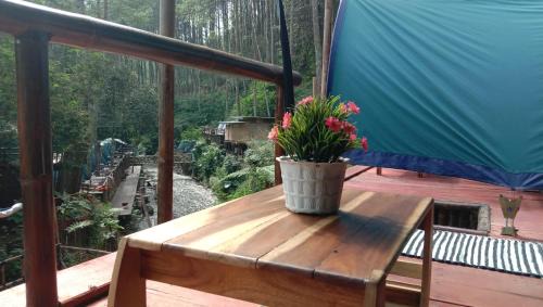 Pangalengan Other | wulandari reverside camping ground pinus singkur