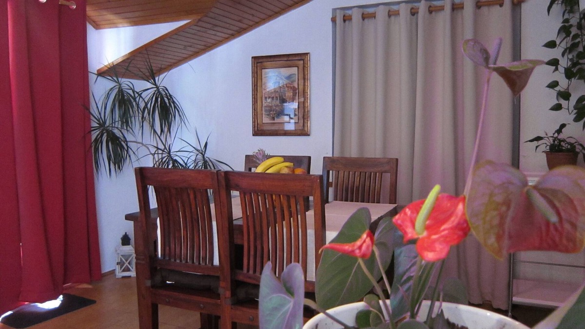 Hvar Apartment | Wwwwwwwwwwwwwwwwwwww