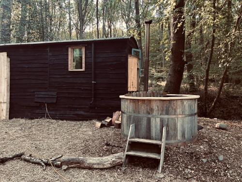 Bewdley Other | Wyre Forest Glamping