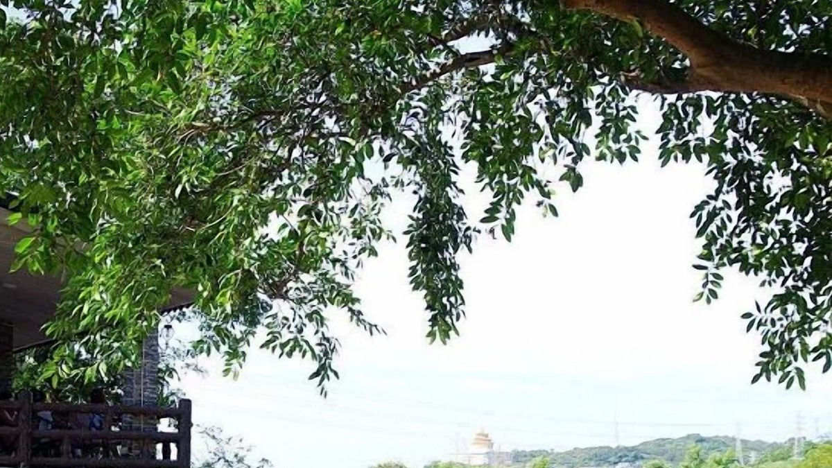 Wanli Hotel | Xing Quan Dadi Hot Spring Hotel