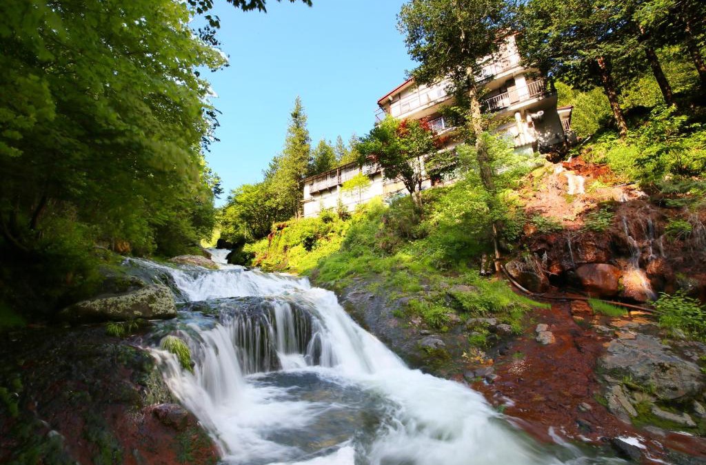 Chino Hotel | Yama no Yado Meiji Onsen