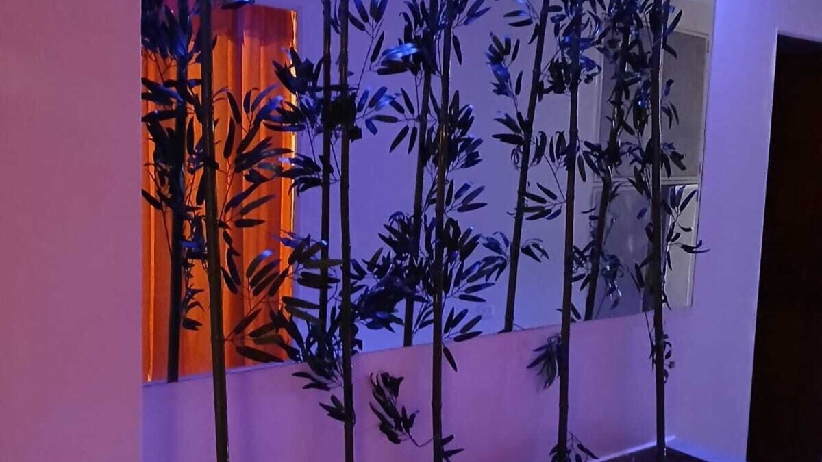 Calle 26 Hotel | Yashira Boutique Hotel