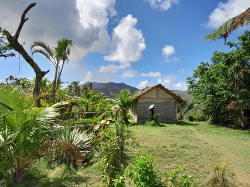 Tanna Island Hotel | Yasur View Bungalow and Tree House