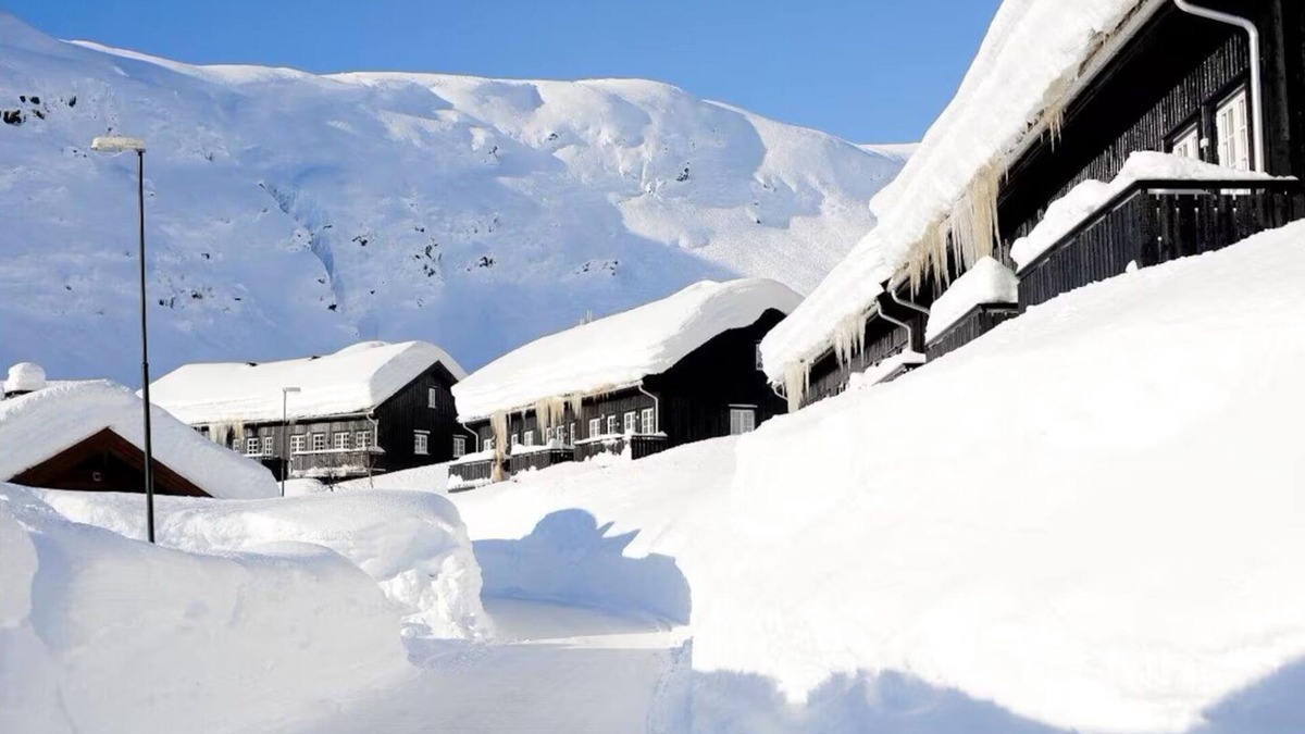 Roldal Apartment | Year-Round Escape – Ski, Hike & Explore Near Trolltunga & Fjords!