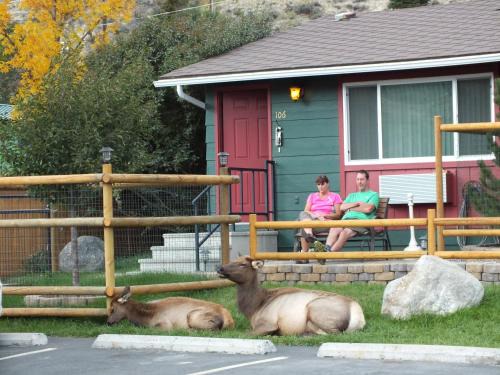 Gardiner Hotel | Yellowstone Gateway Inn