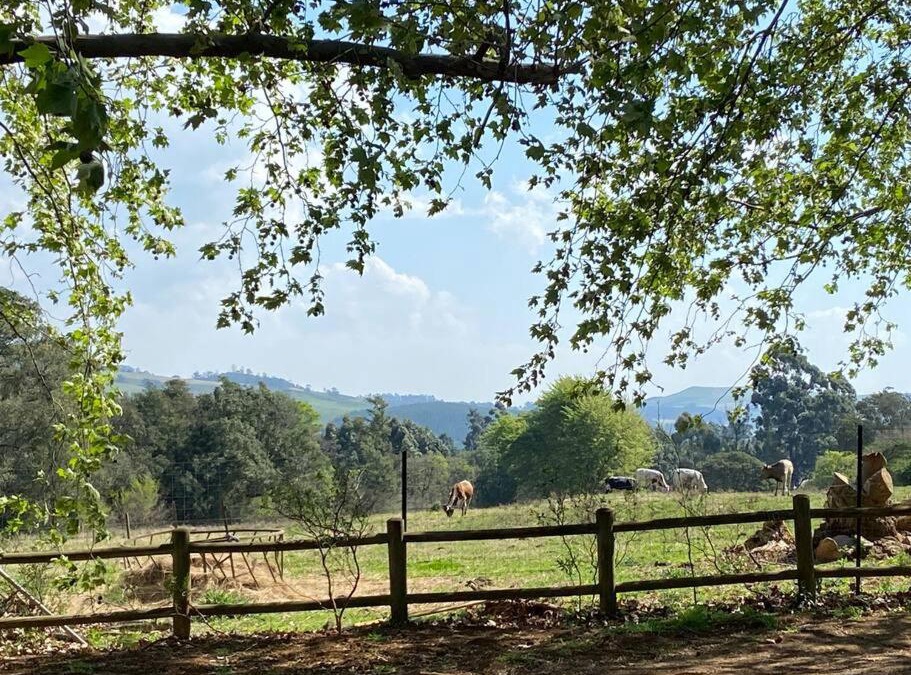 Curry's Post House | Yellowwoods Farm - WILLOUGHBYS COTTAGE and OLD STABLES COTTAGE