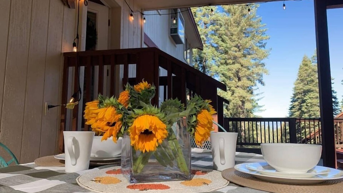 Yosemite West Apartment | YoBee! Heart of Yosemite. Cozy Studio. Park Entrance + Free Breakfast + Dog ~L6