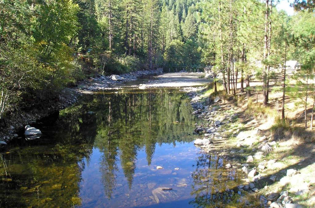 Harden Flat Resort | Yosemite Lakes Wheelchair Accessible Cabin 46