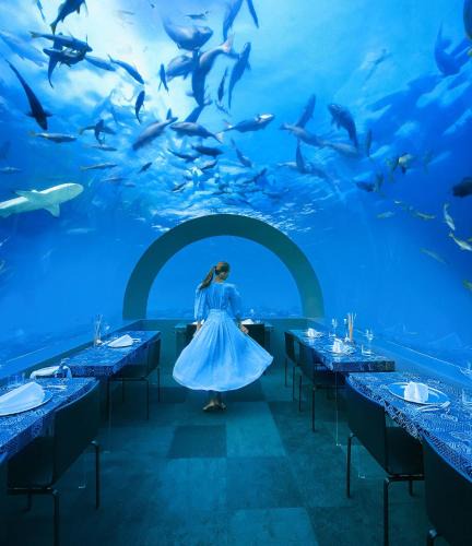 Uthurumaafaru Resort | You & Me Maldives - Adults Only - Premium All-Inclusive
