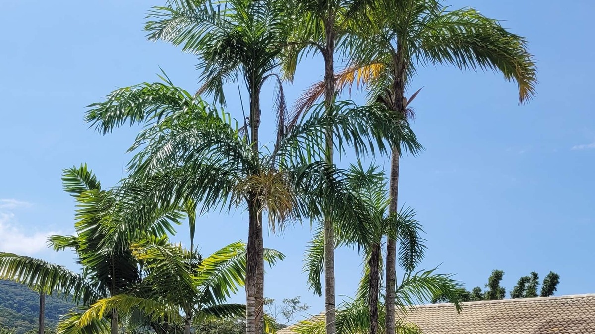 Sertao do Trombudo House | Your beach vacation home.