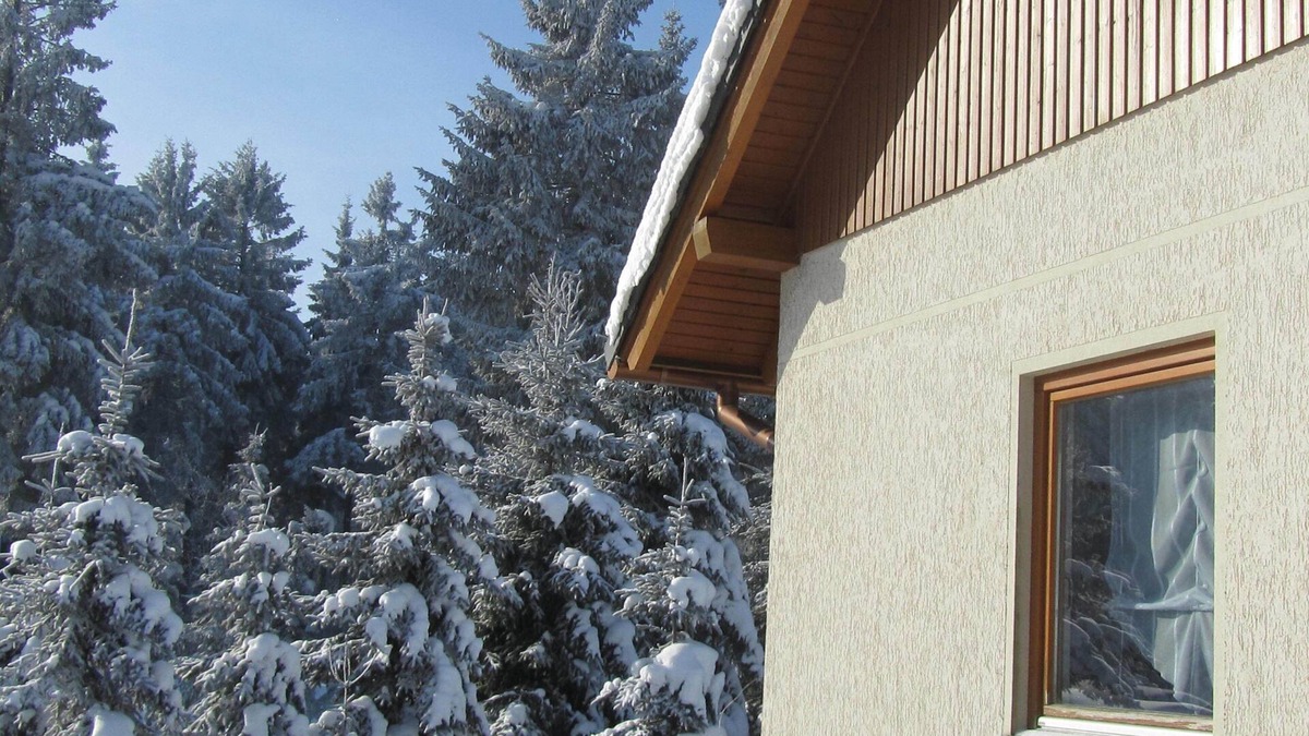 Hermsdorf-Erzgebirge Apartment | YOUR HOLIDAY Ridge!Quiet Waldrandlage Wandern /Rad /Ski Preis = 4 Pers.
