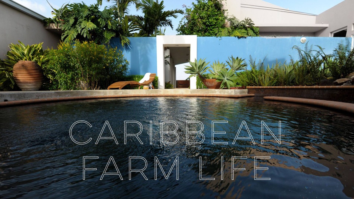 Llanos Tuna Bed & Breakfast | Your home away from home on the Farm, 4 Casitas Bed n Breakfast - Casita 1