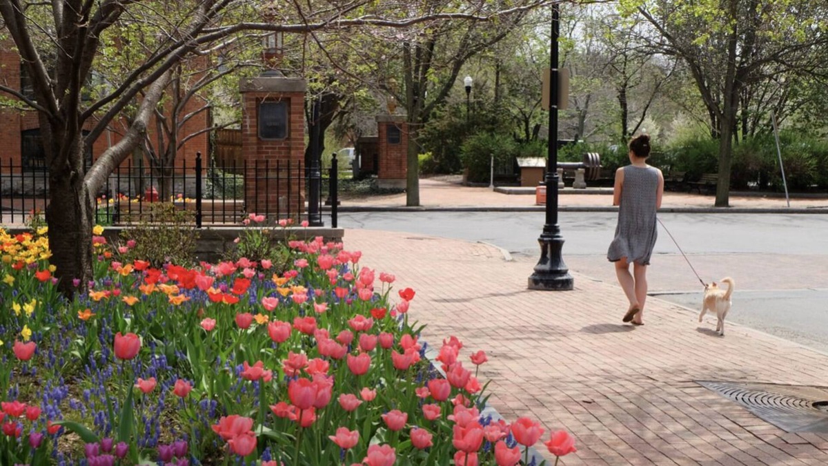 Downtown Syracuse Apartment | Your Ideal Urban Oasis in the Heart of Syracuse