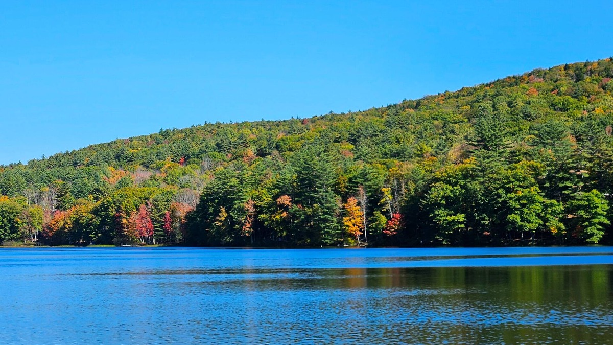 Wayne House | Your Lakeside Paradise: A/C, Private Dock, Kayaks & Rowboat on Dexter Pond!