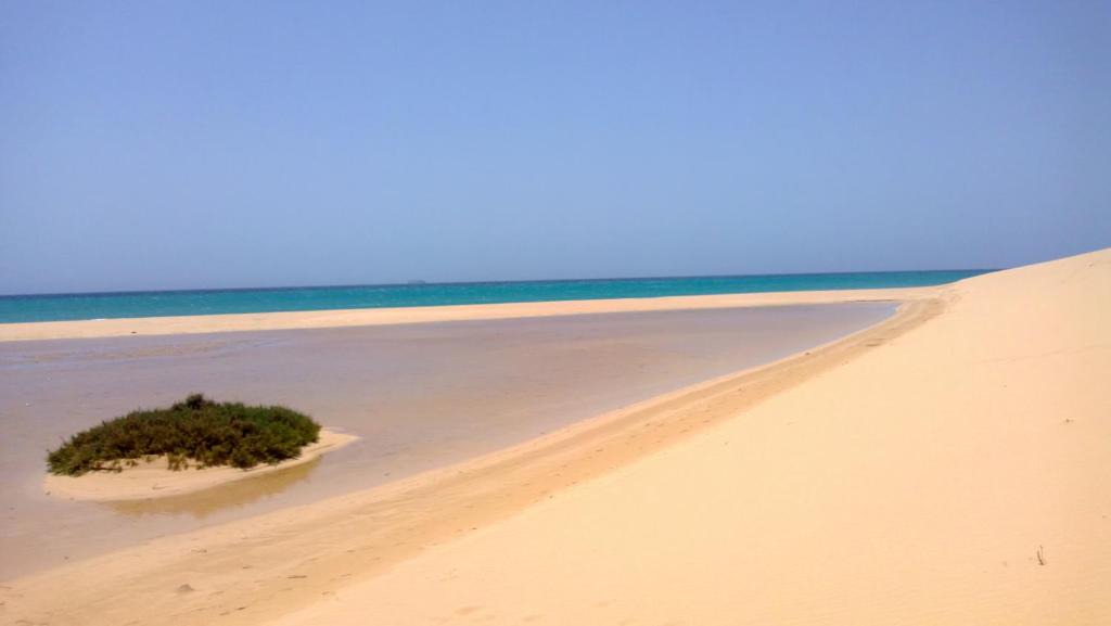 Pajara Apartment | Your Ocean Suite