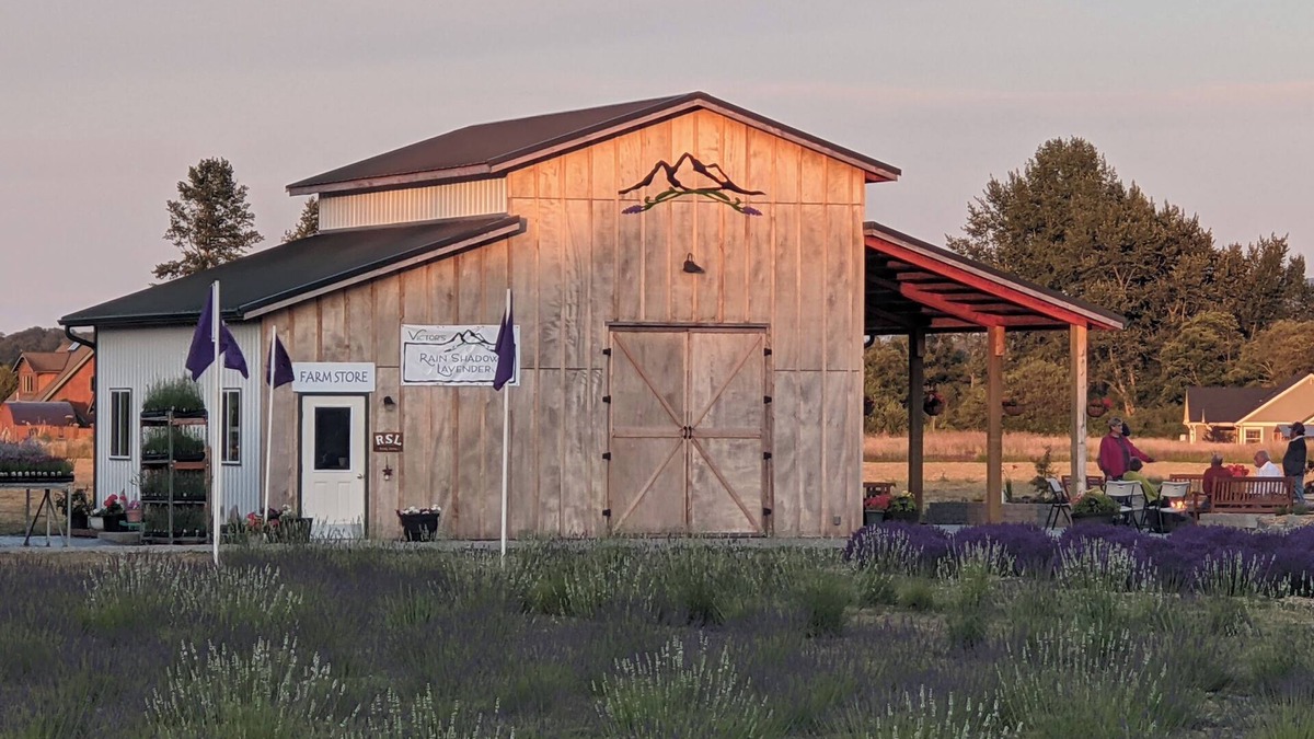 Sequim Other | Your own Lavender farm in Sunny Sequim!