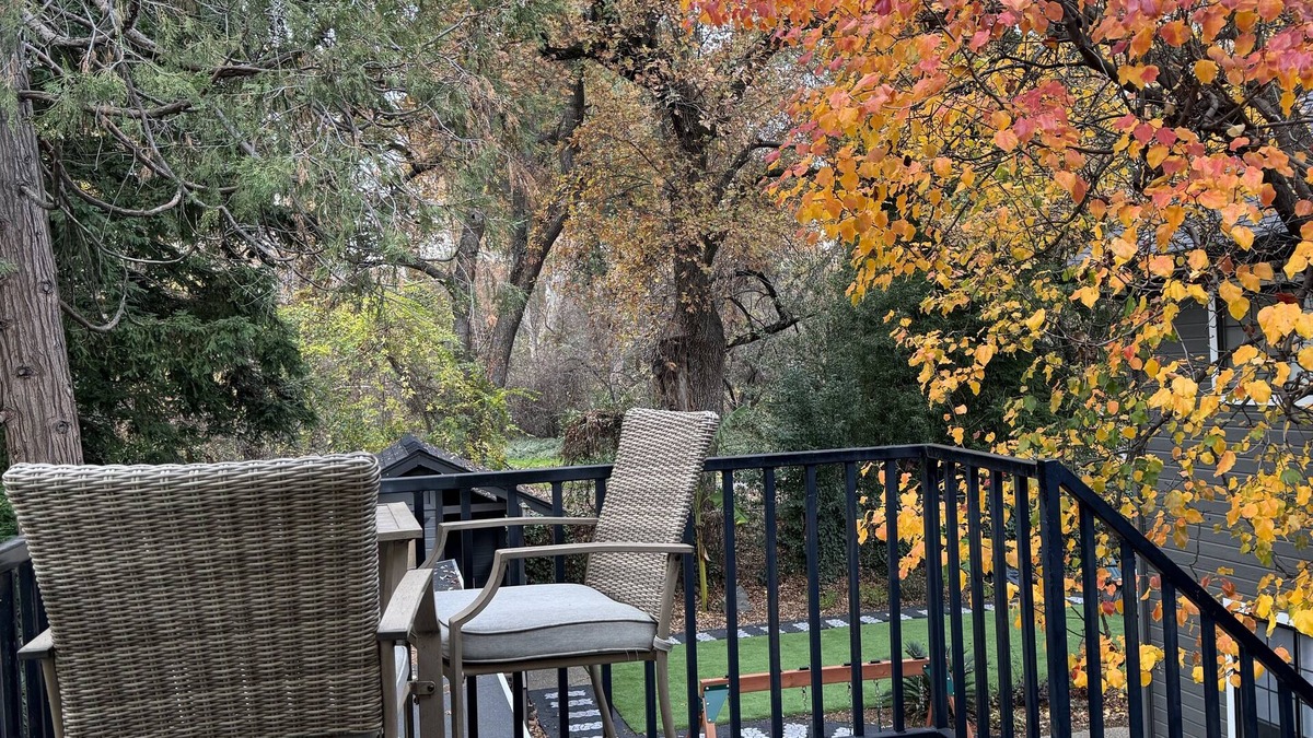 Chico House | Your own modern treehouse overlooking Bidwell Park