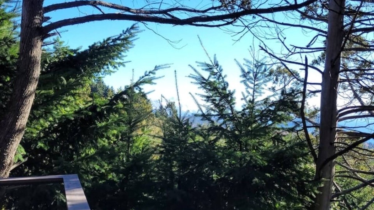 San Carlos de Bariloche House | Your place in the mountains