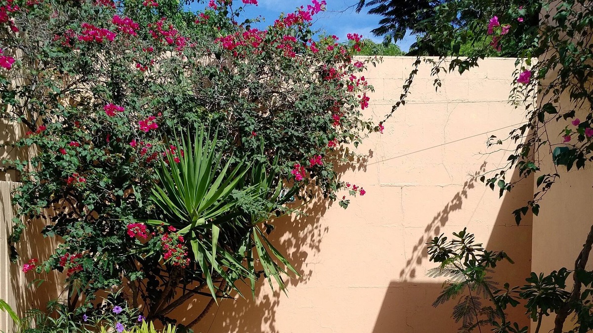 Red Hook Villa | Your Private Villa & Pool in the sun!