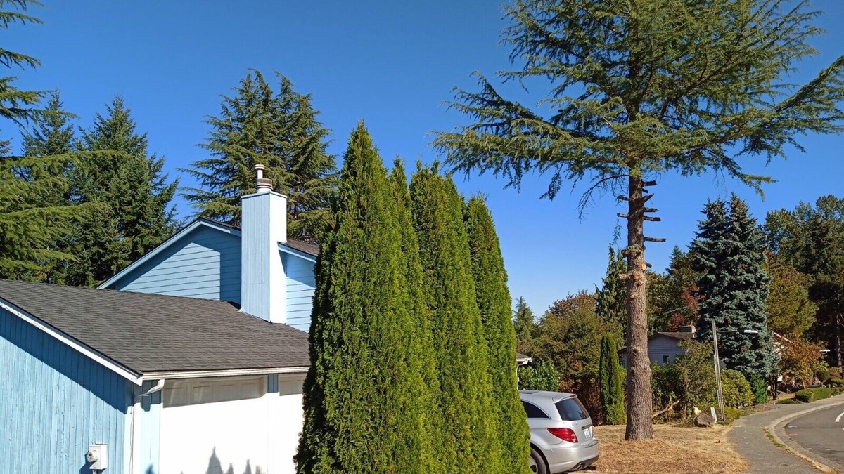 Bellevue House | Your Sweet Home @ Somerset Bellevue, a sought after place near golf club, shops!