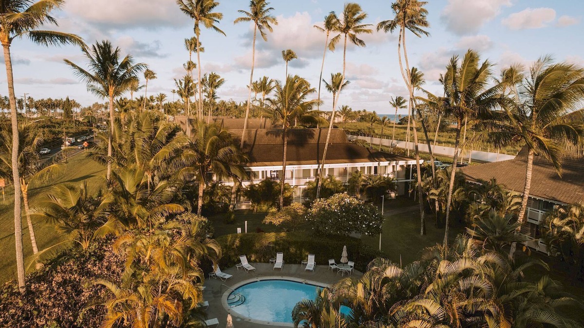 Wailua Apartment | Your Unbeatable Experience! Amazing Suite + Kitchen | Close to Local Attraction