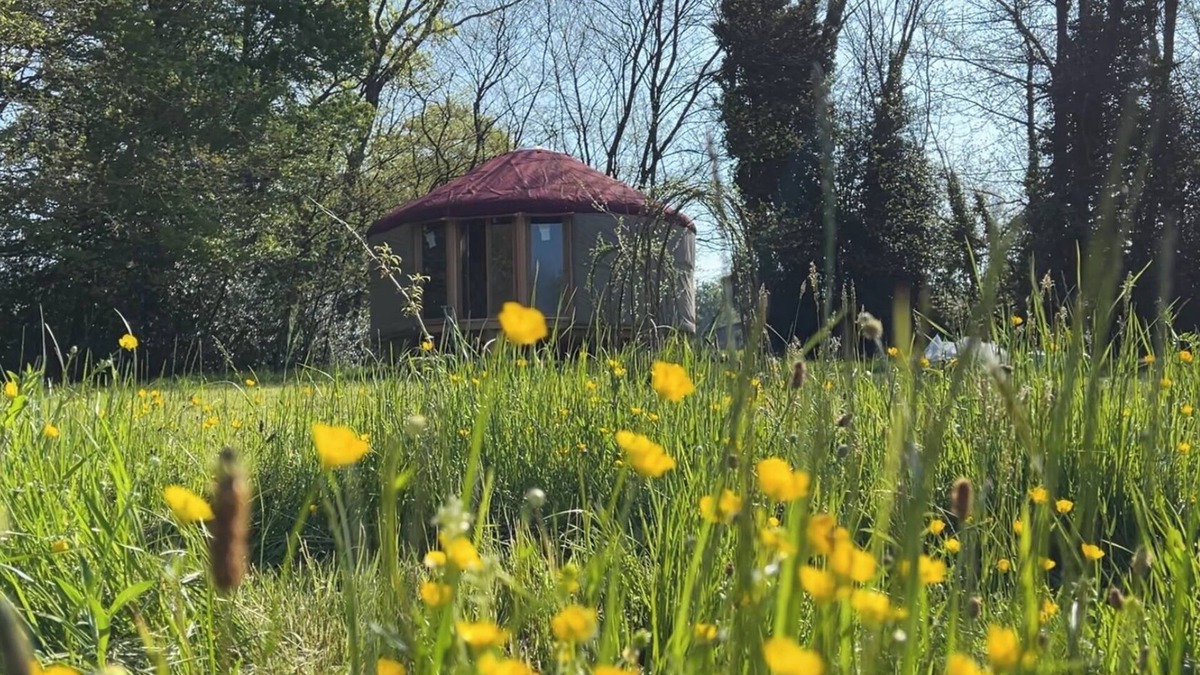 Salon-la-Tour House | Yourte in Corrèze - La Main Sauvage