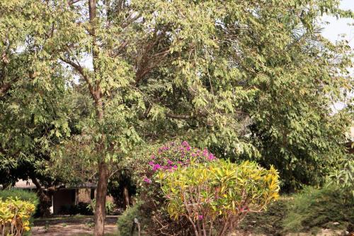 West Coast Division Hotel | Yuna Village Garden Resort