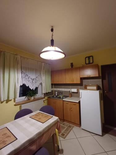 Sokolec Apartment | Zacisze Sokolec