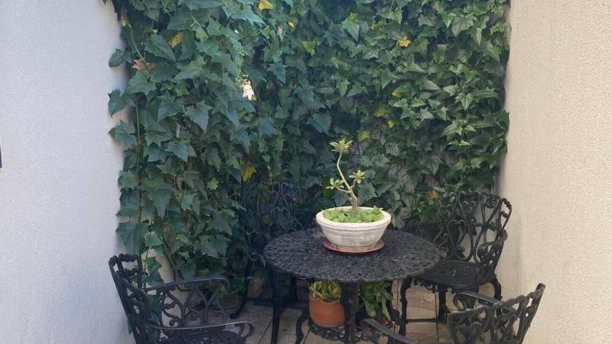 Centro Sul Apartment | Zaffir Apartamento 3